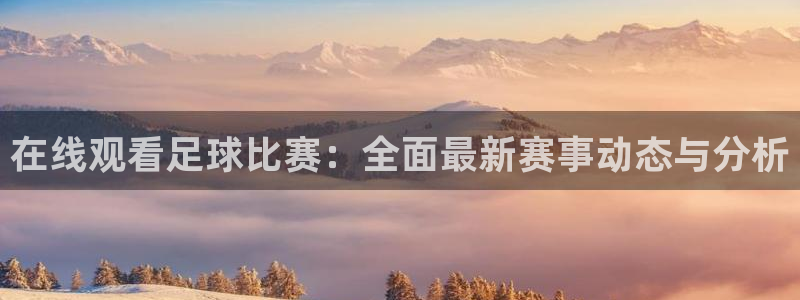 在线观看足球比赛：全面最新赛事动态与分析