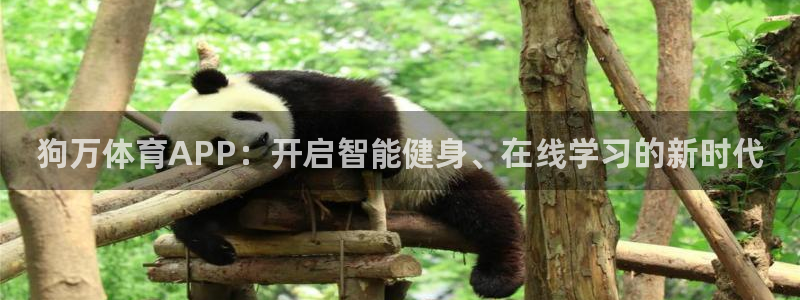 狗万体育APP：开启智能健身、在线学习的新时代
