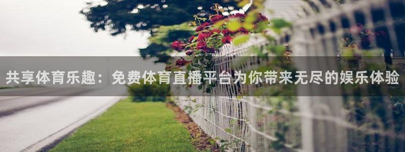 共享体育乐趣：免费体育直播平台为你带来无尽的娱乐体验