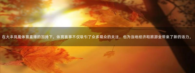 在大丰凤凰体育直播的加持下，体育赛事不仅吸引了众多观众的关注，也为当地经济和旅游业带来了新的活力。