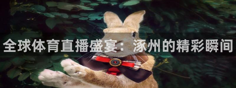 全球体育直播盛宴：涿州的精彩瞬间