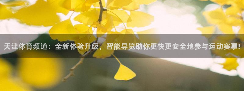 天津体育频道：全新体验升级，智能导览助你更快更安全地参与运动赛事!