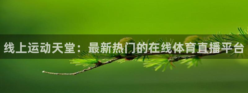 线上运动天堂：最新热门的在线体育直播平台