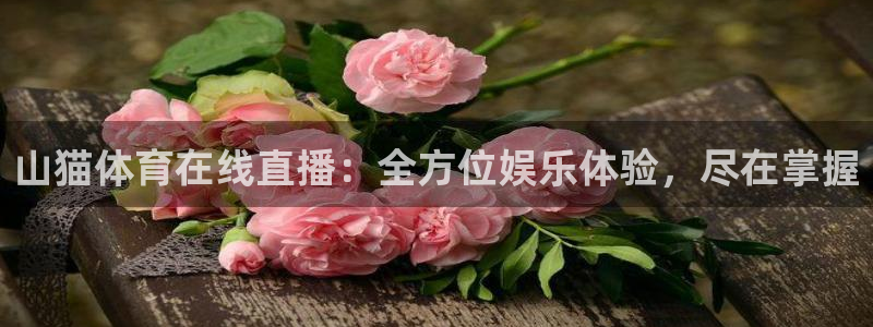 山猫体育在线直播：全方位娱乐体验，尽在掌握