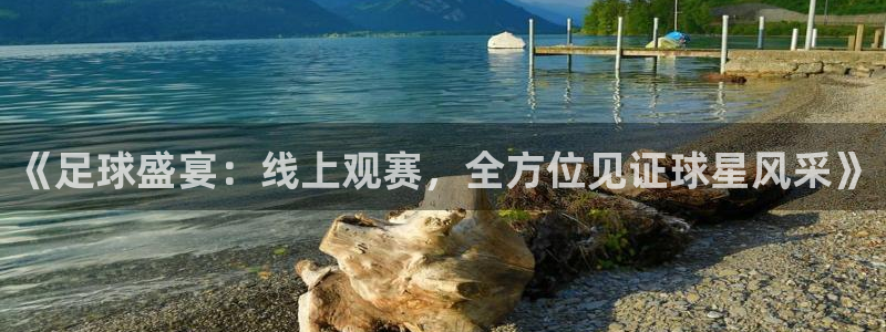 《足球盛宴：线上观赛，全方位见证球星风采》