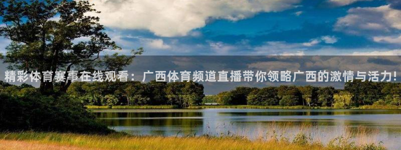 精彩体育赛事在线观看：广西体育频道直播带你领略广西的激情与活力!