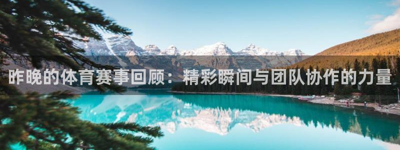 昨晚的体育赛事回顾：精彩瞬间与团队协作的力量