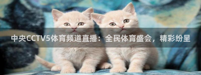 中央CCTV5体育频道直播：全民体育盛会，精彩纷呈