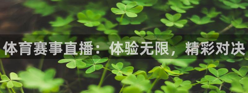 体育赛事直播：体验无限，精彩对决
