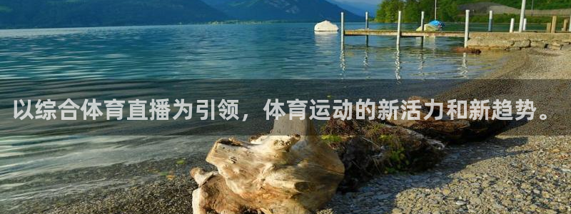 以综合体育直播为引领，体育运动的新活力和新趋势。