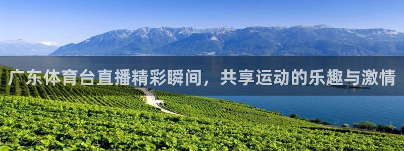 广东体育台直播精彩瞬间，共享运动的乐趣与激情