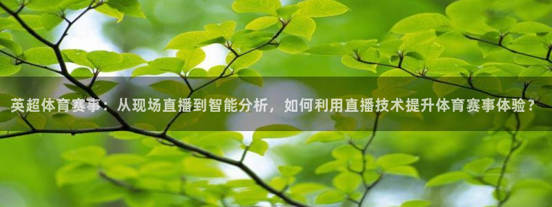 英超体育赛事：从现场直播到智能分析，如何利用直播技术提升体育赛事体验？